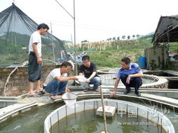 保障市民餐桌安全 我市開展養(yǎng)殖水產品及水產苗種藥物殘留抽檢工作