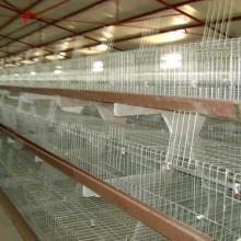 獲嘉縣振華牧業(yè)設備廠助力水產品養(yǎng)殖發(fā)展